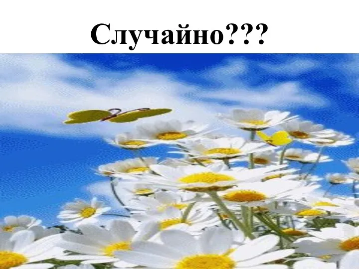 Случайно???