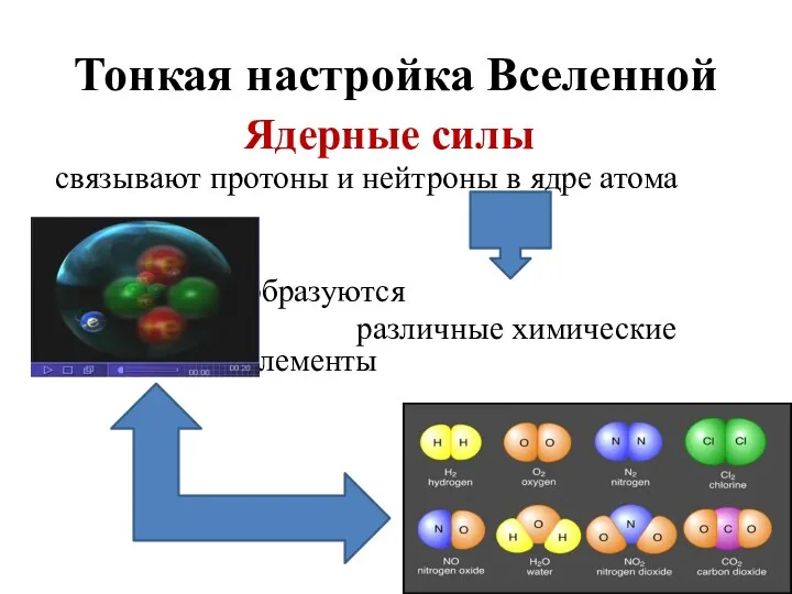 Тонкая настройка Вселенной Ядерные силы связывают протоны и нейтроны в ядре атома образуются различные химические элементы