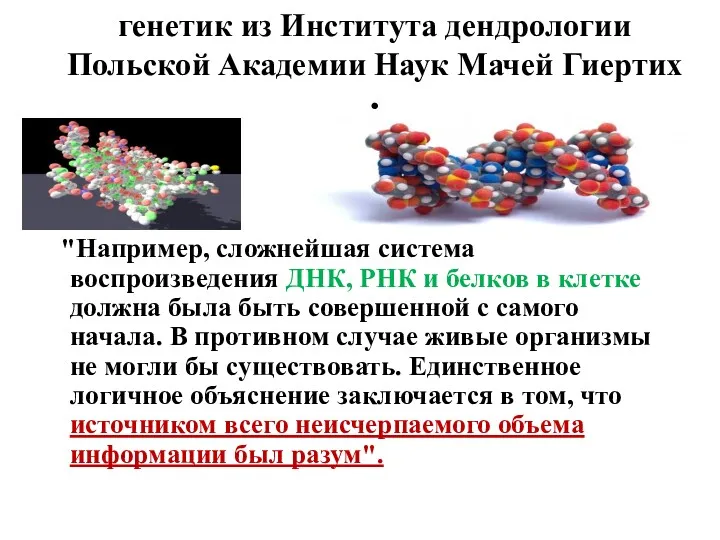 генетик из Института дендрологии Польской Академии Наук Мачей Гиертих : "Например, сложнейшая система