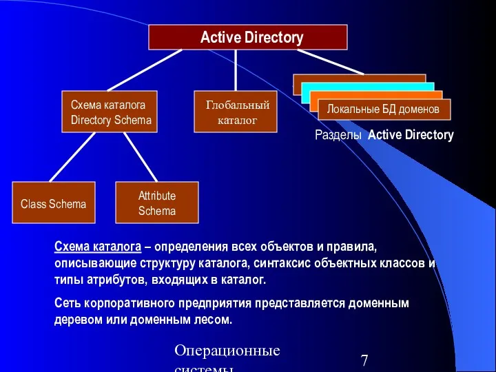 Операционные системы Active Directory Разделы Active Directory Локальные БД доменов