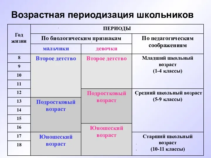 Возрастная периодизация школьников