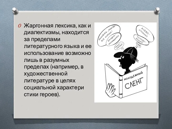 Жаргонная лексика, как и диалектизмы, находится за пределами литературного языка