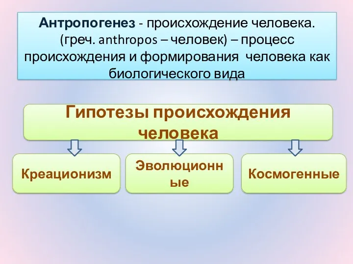 Гипотезы происхождения человека Креационизм Эволюционные Космогенные Антропогенез - происхождение человека.