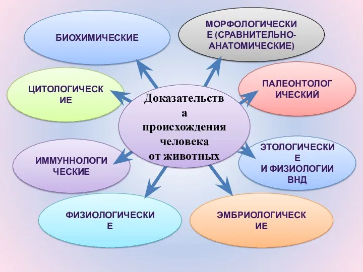 ПАЛЕОНТОЛОГИЧЕСКИЙ ЭТОЛОГИЧЕСКИЕ И ФИЗИОЛОГИИ ВНД ЭМБРИОЛОГИЧЕСКИЕ ФИЗИОЛОГИЧЕСКИЕ ЦИТОЛОГИЧЕСКИЕ ИММУННОЛОГИЧЕСКИЕ МОРФОЛОГИЧЕСКИЕ