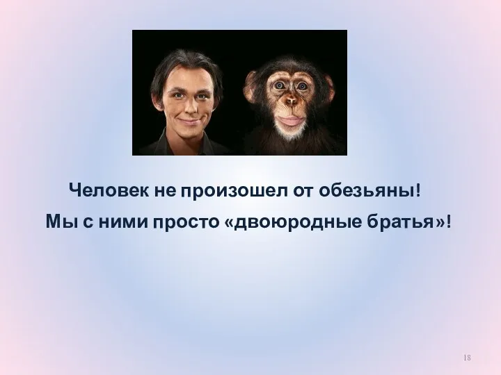 Человек не произошел от обезьяны! Мы с ними просто «двоюродные братья»!