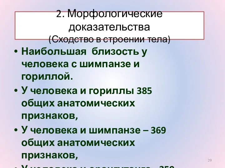 2. Морфологические доказательства (Сходство в строении тела) Наибольшая близость у