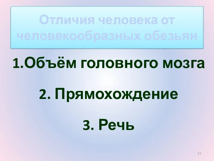 Отличия человека от человекообразных обезьян 1.Объём головного мозга 2. Прямохождение 3. Речь