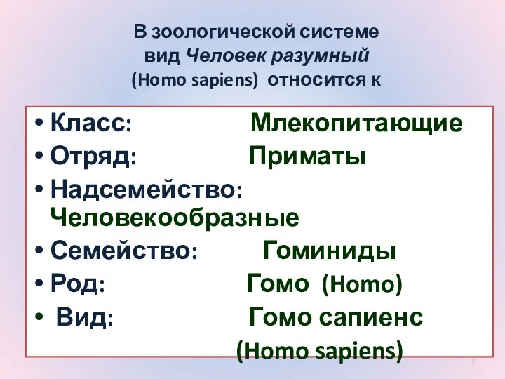 В зоологической системе вид Человек разумный (Homo sapiens) относится к