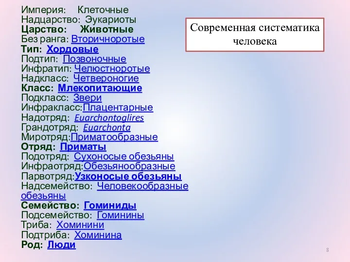 Империя: Клеточные Надцарство: Эукариоты Царство: Животные Без ранга: Вторичноротые Тип: