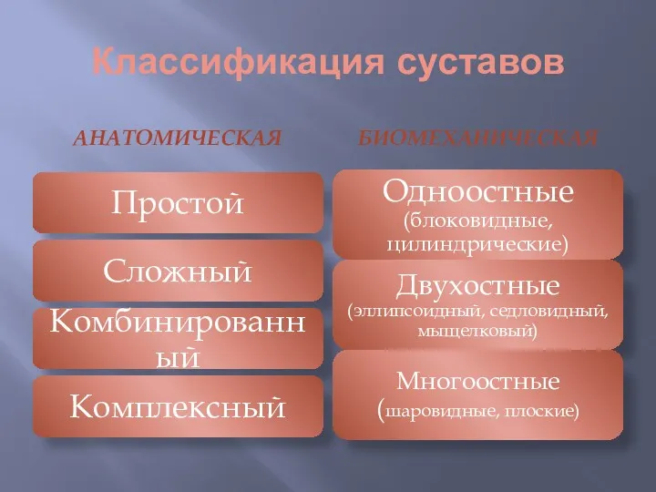 Классификация суставов АНАТОМИЧЕСКАЯ БИОМЕХАНИЧЕСКАЯ