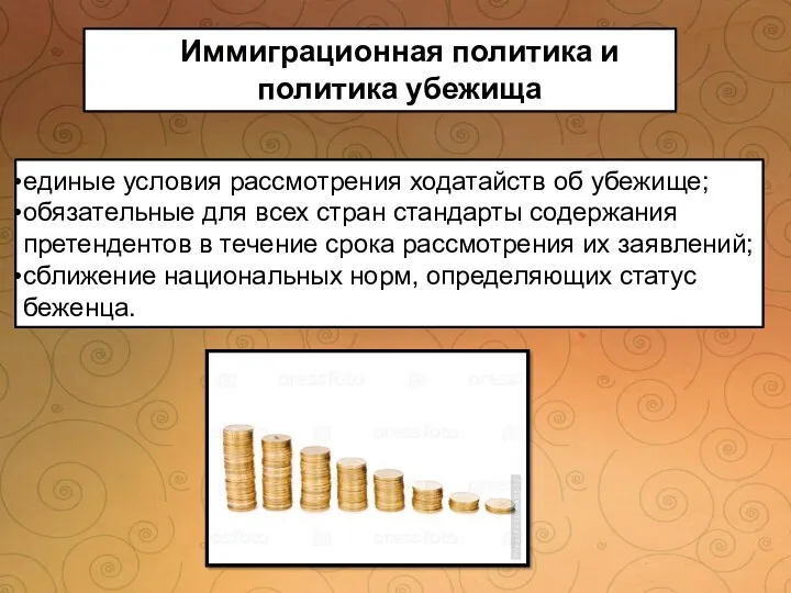 Иммиграционная политика и политика убежища единые условия рассмотрения ходатайств об