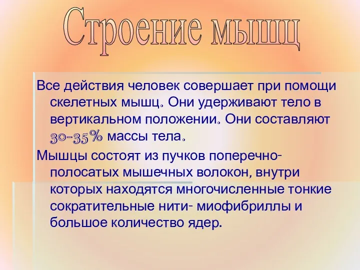 Все действия человек совершает при помощи скелетных мышц. Они удерживают