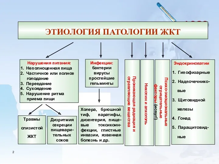 ЭТИОЛОГИЯ ПАТОЛОГИИ ЖКТ