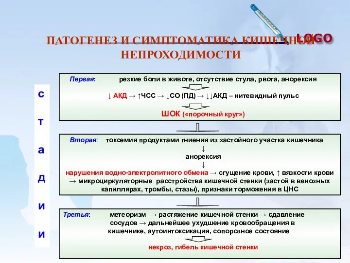 ПАТОГЕНЕЗ И СИМПТОМАТИКА КИШЕЧНОЙ НЕПРОХОДИМОСТИ Первая: резкие боли в животе,