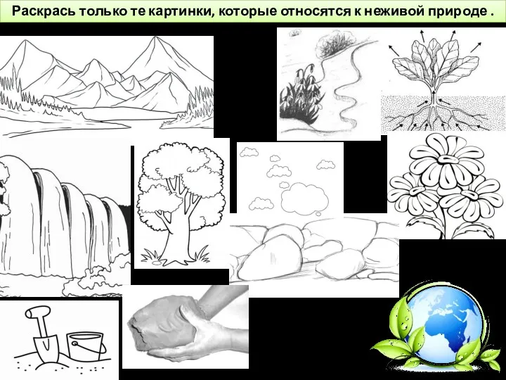 Раскрась только те картинки, которые относятся к неживой природе .