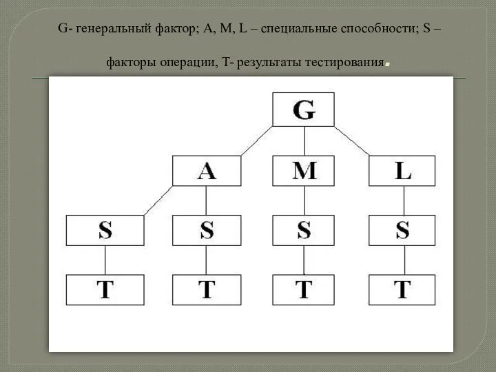 G- генеральный фактор; A, M, L – специальные способности; S – факторы операции, T- результаты тестирования.