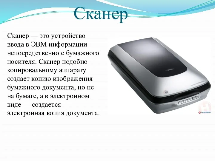 Сканер Сканер — это устройство ввода в ЭВМ информа­ции непосредственно с бумажного носителя.