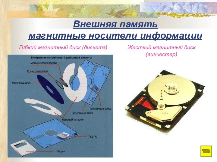 Внешняя память магнитные носители информации Гибкий магнитный диск (дискета) Жесткий магнитный диск (винчестер)