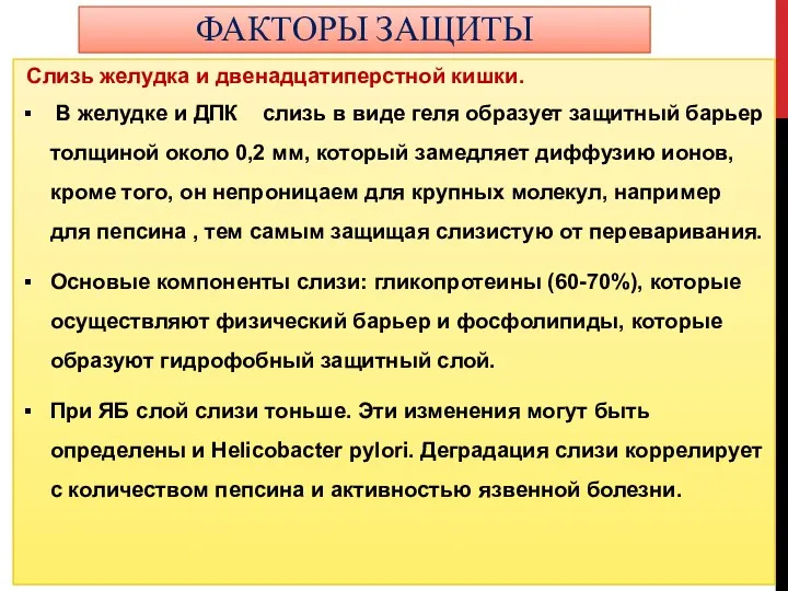 ФАКТОРЫ ЗАЩИТЫ Слизь желудка и двенадцатиперстной кишки. В желудке и