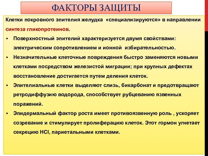 ФАКТОРЫ ЗАЩИТЫ Клетки покровного эпителия желудка «специализируются» в направлении синтеза