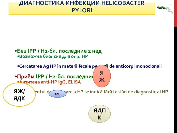 Без IPP / H2-бл. последние 2 нед Возможна биопсия для