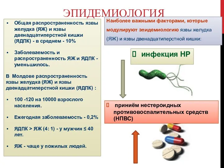 Общая распространенность язвы желудка (ЯЖ) и язвы двенадцатиперстной кишки (ЯДПК)