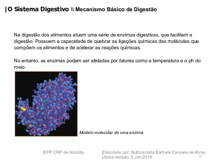 Na digestão dos alimentos atuam uma série de enzimas digestivas,