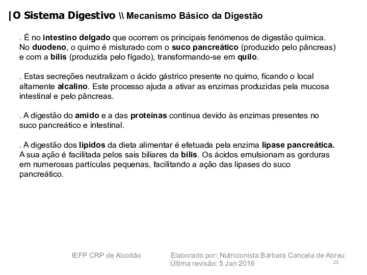 |O Sistema Digestivo \\ Mecanismo Básico da Digestão . É