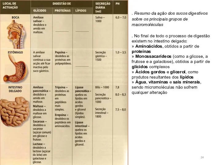 . Resumo da ação dos sucos digestivos sobre os principais