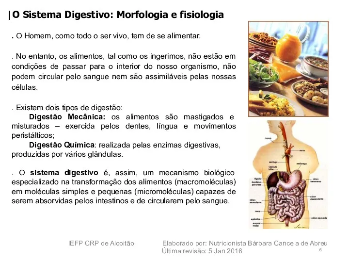 |O Sistema Digestivo: Morfologia e fisiologia . O Homem, como