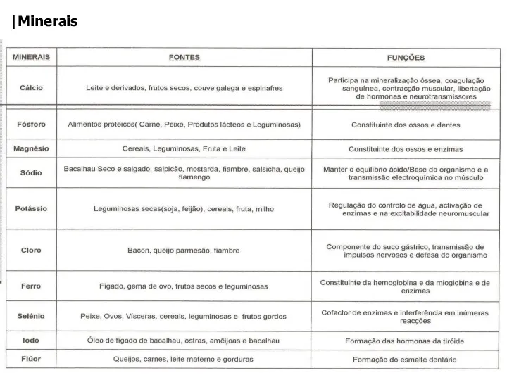 IEFP CRP de Alcoitão Elaborado por: Nutricionista Bárbara Cancela de