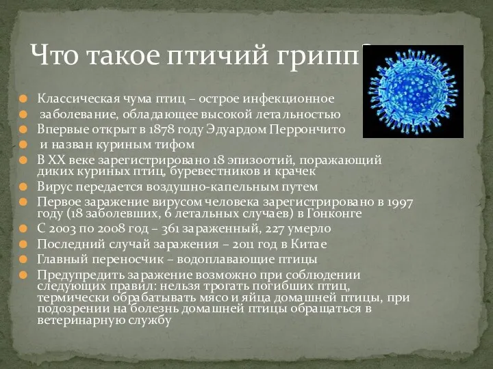 Классическая чума птиц – острое инфекционное заболевание, обладающее высокой летальностью