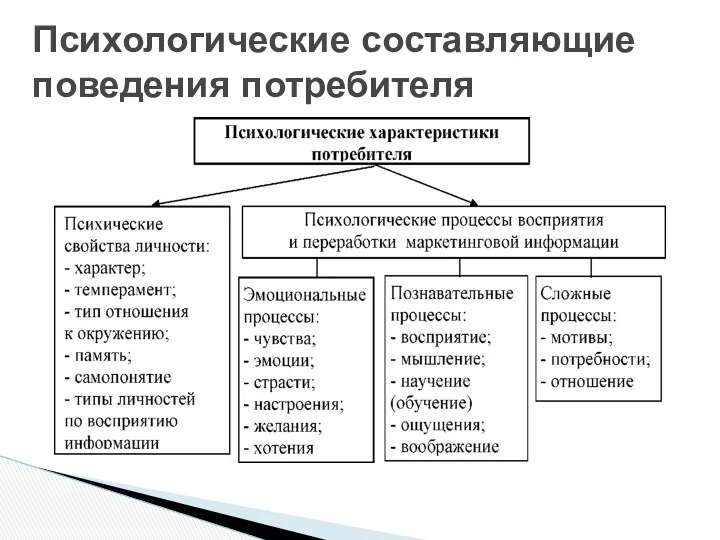 Психологические составляющие поведения потребителя