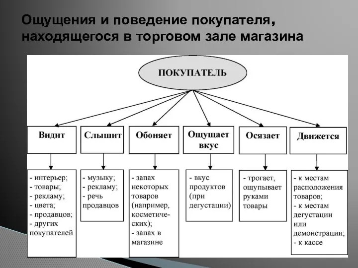 Ощущения и поведение покупателя, находящегося в торговом зале магазина