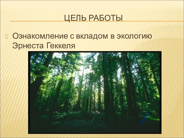 ЦЕЛЬ РАБОТЫ Ознакомление с вкладом в экологию Эрнеста Геккеля