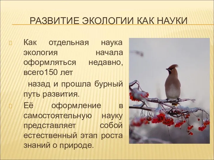 РАЗВИТИЕ ЭКОЛОГИИ КАК НАУКИ Как отдельная наука экология начала оформляться