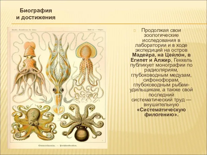 Продолжая свои зоологические исследования в лаборатории и в ходе экспедиций