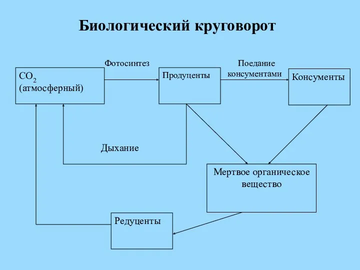 Биологический круговорот