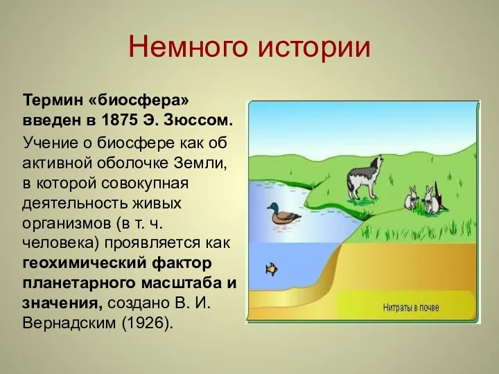 Немного истории Термин «биосфера» введен в 1875 Э. Зюссом. Учение