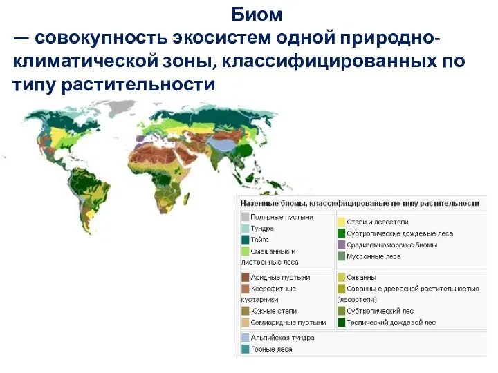 Биом — совокупность экосистем одной природно-климатической зоны, классифицированных по типу растительности