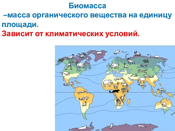 Биомасса –масса органического вещества на единицу площади. Зависит от климатических условий.