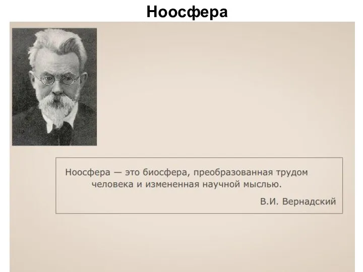 Ноосфера