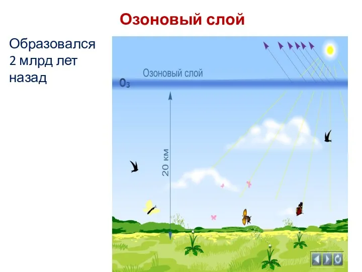 Озоновый слой Образовался 2 млрд лет назад