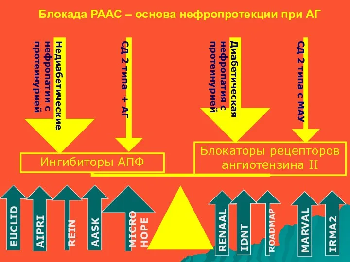 Блокада РААС – основа нефропротекции при АГ Блокаторы рецепторов ангиотензина II Ингибиторы АПФ