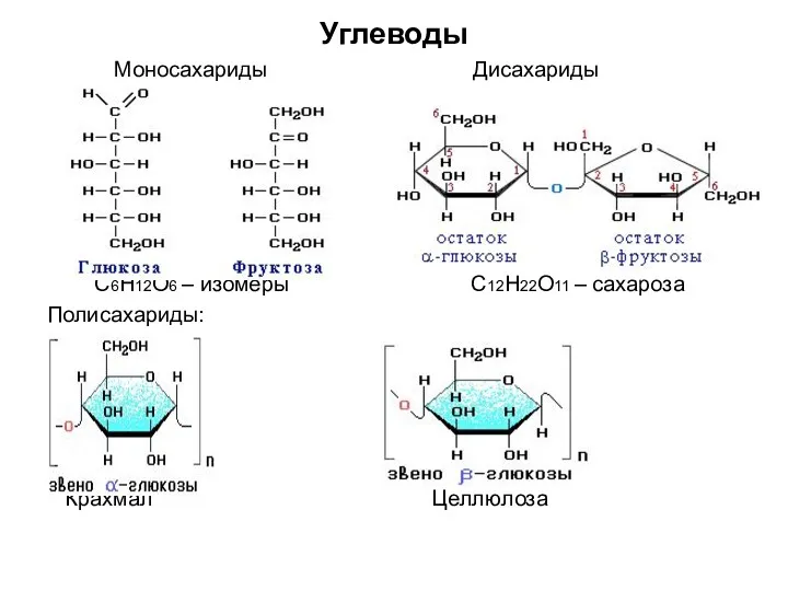 Углеводы Моносахариды Дисахариды С6Н12О6 – изомеры С12Н22О11 – сахароза Полисахариды: Крахмал Целлюлоза