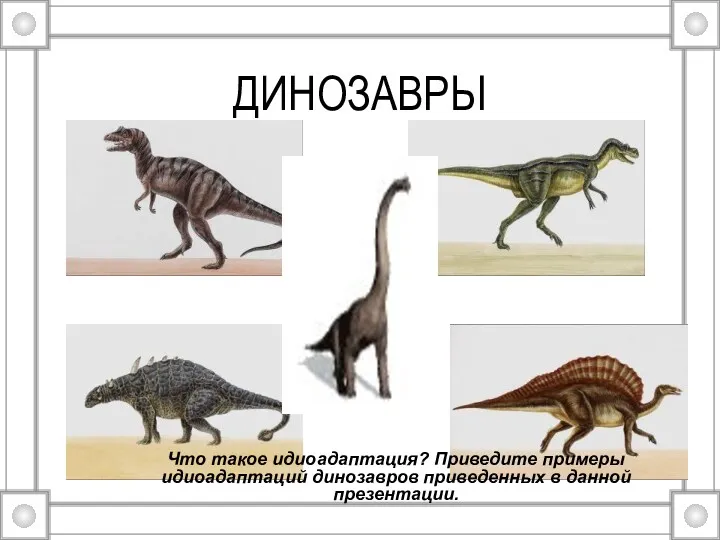 ДИНОЗАВРЫ Что такое идиоадаптация? Приведите примеры идиоадаптаций динозавров приведенных в данной презентации.