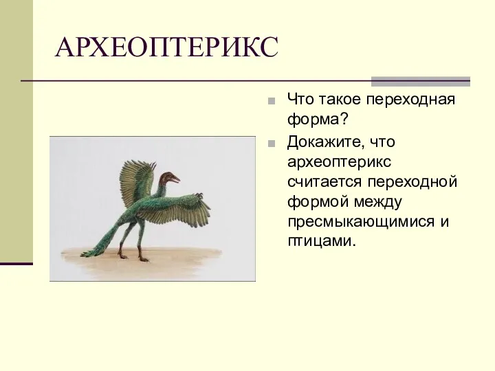 АРХЕОПТЕРИКС Что такое переходная форма? Докажите, что археоптерикс считается переходной формой между пресмыкающимися и птицами.