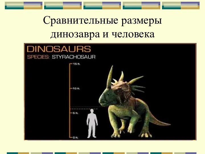 Сравнительные размеры динозавра и человека
