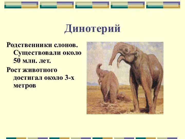 Динотерий Родственники слонов. Существовали около 50 млн. лет. Рост животного достигал около 3-х метров
