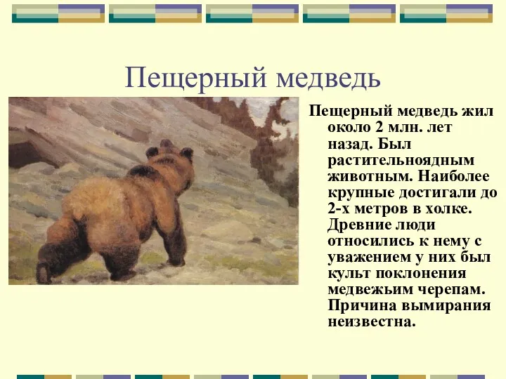Пещерный медведь Пещерный медведь жил около 2 млн. лет назад.